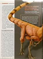 Les couleurs des dinosaures, Science & Vie 1113, 2010-06 (02)